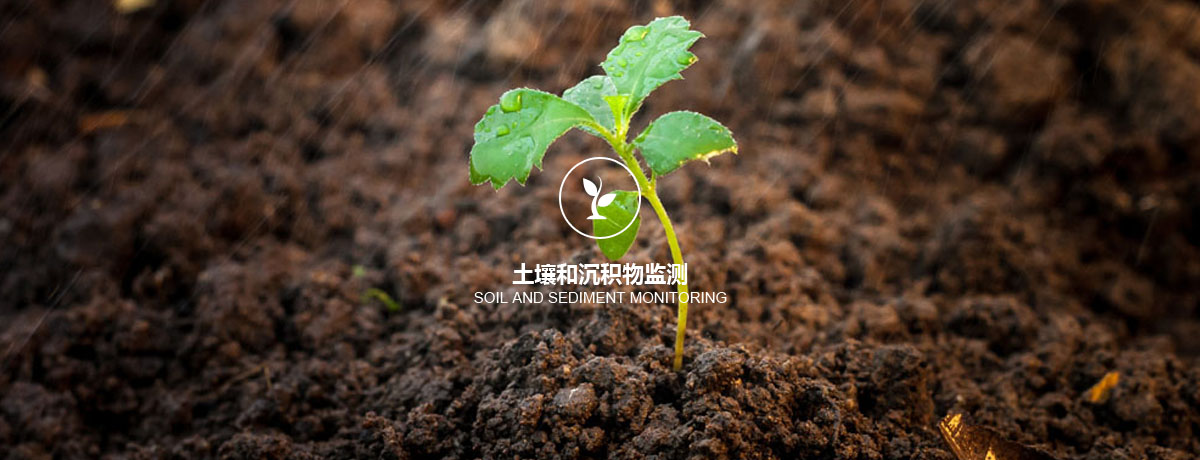 四川中環(huán)檢測土壤和沉積物監(jiān)測