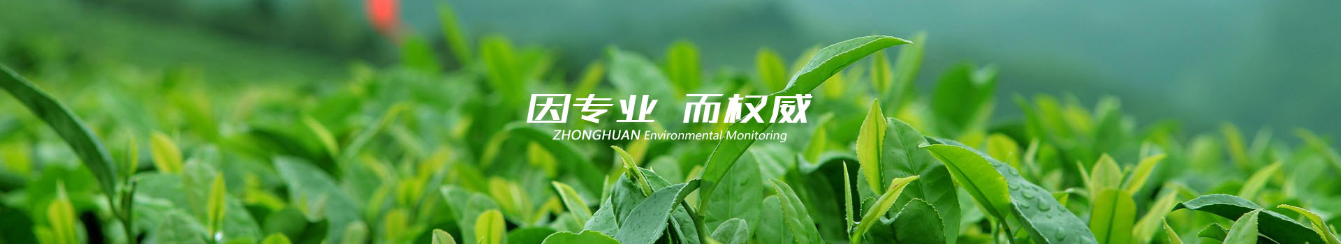 中環(huán)檢測(cè)成功案例